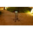 Solar LED Floral Cardinal Glass Bird Bath with Stand - Cardinal