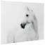 Cheval blanc, impression sur verre