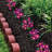 4ft. Red SmartLoc Scallop Rubber Landscape Lawn Edging