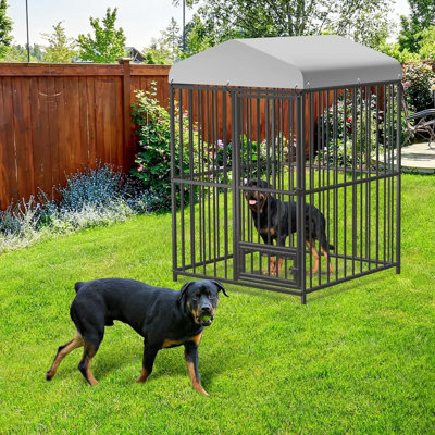 Dog House