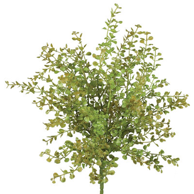 Pepper Grass Spray