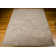 Oriental Indoor Rug