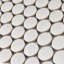 Gotham 1" X 1" Porcelain Penny Round Wall & Floor Tile-810873151