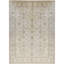 Ziegler Wool Oriental Area Rug in Beige