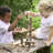 Branch Blocks Learning Tools