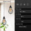 Bertrando - Light Pendant-1779780458