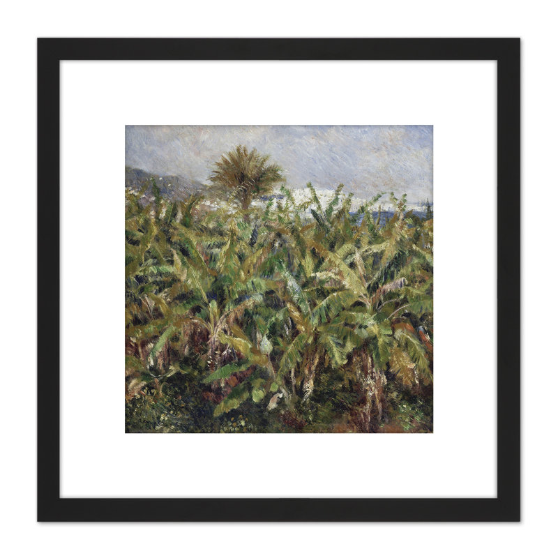 Auguste Renoir Field Of Banana Trees by Pierre-Auguste Renoir - Single Picture Frame Painting