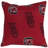 NCAA Square Pillow Cover & Insert-25193420