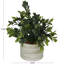 Plante à feuillage artificiel Raegan