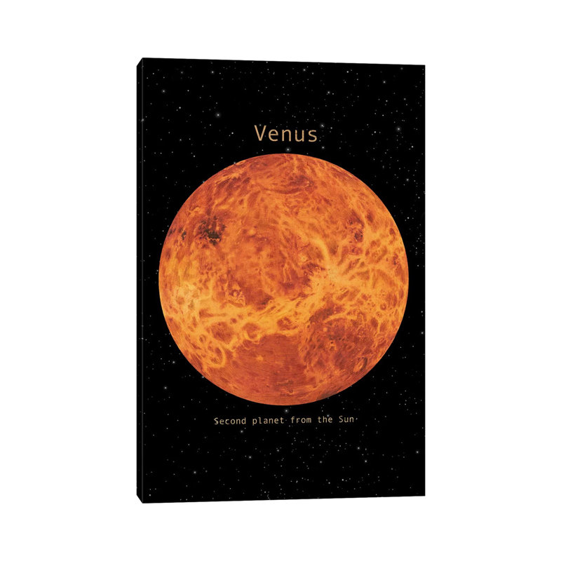 Venus by Terry Fan - Gallery-Wrapped Canvas Giclée on Canvas, 30.48 cm H x 45.72 cm W, Canvas
