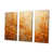 Wrapped Canvas