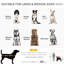 Pet Seat Cover
