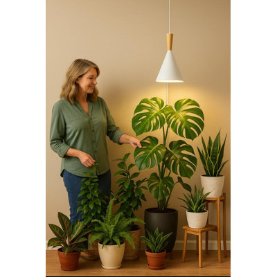 Luminaire suspendu pour plantes d'intérieur, spectre complet, avec minuterie et cordon d'alimentation, luminaire suspendu pour plantes d'intérieur de 20 W, grande plante haute, jardin, fleurs, serre, (blanc)