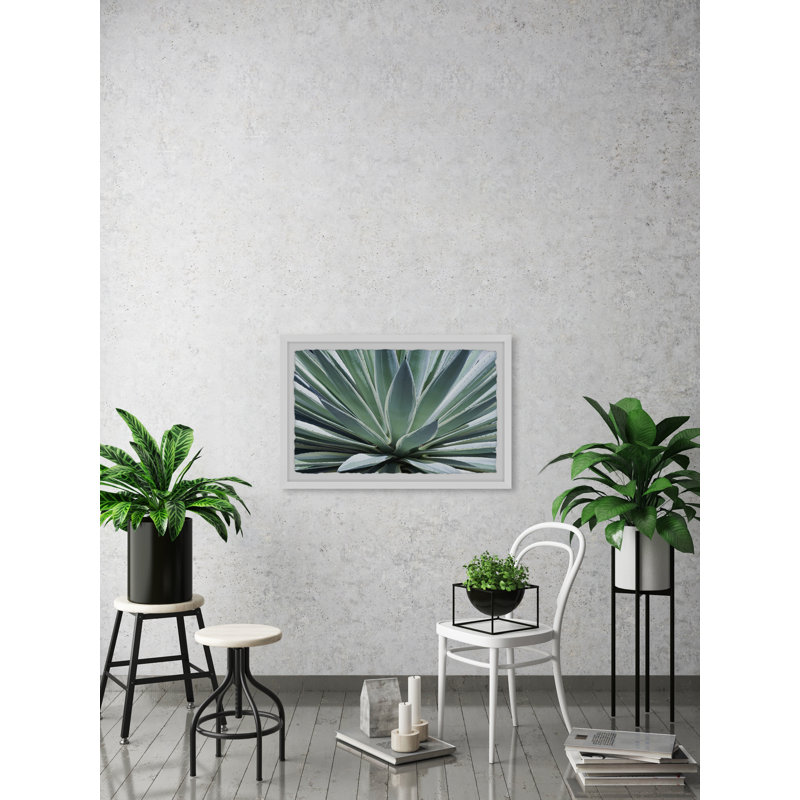 Gorgeous Agave 1 Piece Single Picture Frame Painting, 20 cm H x 30 cm W
