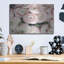 Art mural en métal luxueux «Soft Pink Ranunculus» par Susan Ball, 36 po x 24 po-101684476
