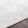 Oriental Indoor Rug