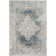 Radtke Oriental Indoor Rug