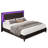 Carnbrock 47" Headboard Queen Platform Bed with LED Lights, Black-738430619-738430617