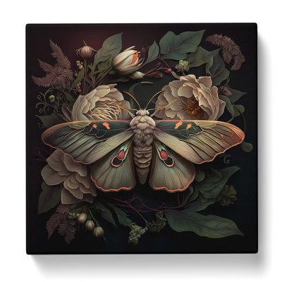 Moth - Wrapped Canvas