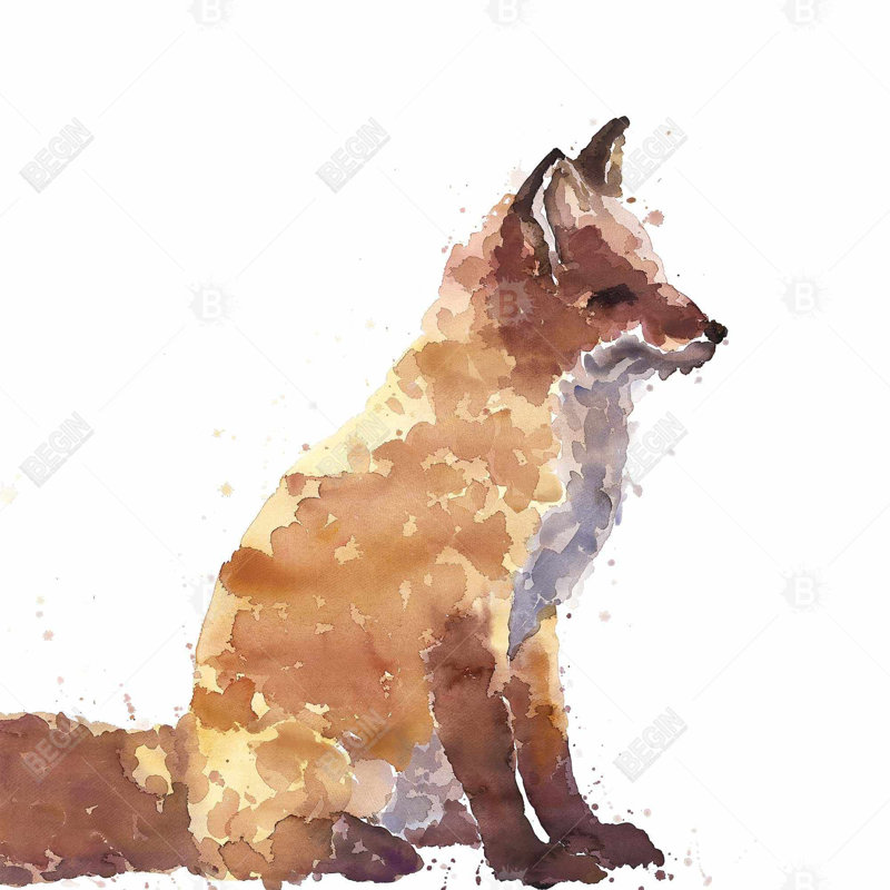 Red fox - 32"x32" art on canvas
