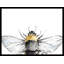 The Big Bee Painting-935288643