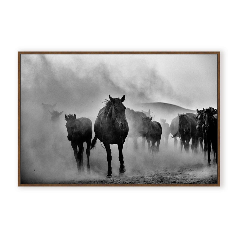 Nature Inspired Untitled by  - Picture Frame Photograph on Paper, Framed Canvas, 16" H x 24" W x 2.375" D, White