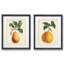 Poires simples-ensemble de 2 reproductions d’art encadrées sur papier