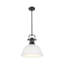 Luminaire suspendu 1 lumière avec tige Bryceton-107150027-107150037