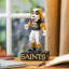 Statue mascotte nfl-354857284