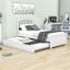 Lit plateforme simple avec lit gigogne-434241463