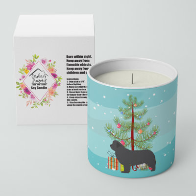 Pine / Christmas Tree Scented Jar Candle with Ceramic Holder