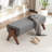 Chenice Upholstered Solid Wood Leg Bench-127275623
