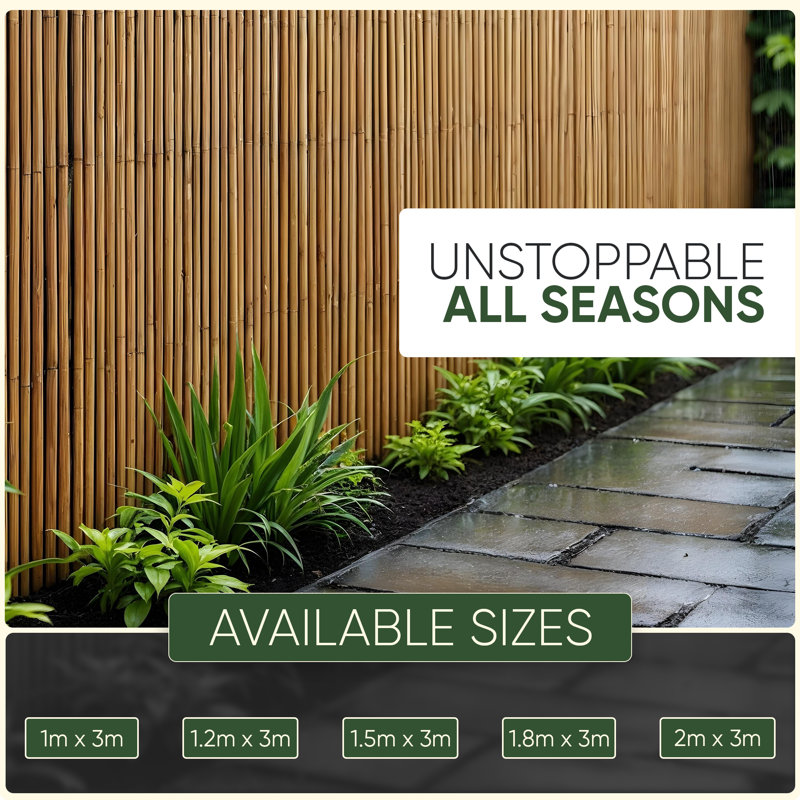 Reed 2cm H x 20cm W Bamboo Fence Panels Included