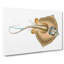 Common Stingray by Edward Donovan - Wrapped Canvas-55304332