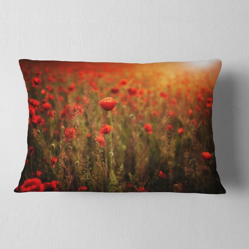 Coussin de soleil dense