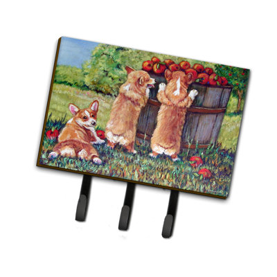 Metal Wall Organizer with Key Hooks