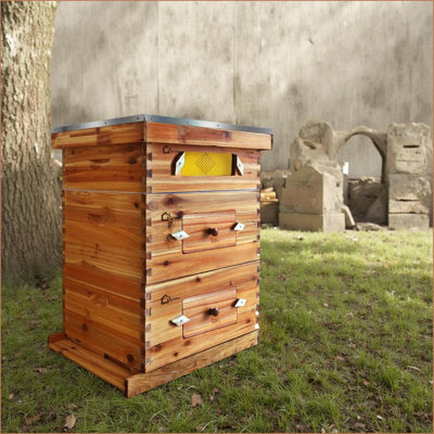 Ensemble complet de 10 ruches, ruches enduites de cire pour débutant, comprend 2 boîtes profondes et 1 boîte moyenne avec fenêtre en acrylique, cadres de ruches et fondations en cire pour complément apicole