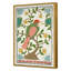 Pink Throated Thrush Print by Dana Gibson-459717370-459717318