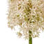 Arrangement-128130315-128130319