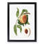 Juicy Peach Tree by Giorgio Gallesio - Picture Frame Graphic Art Print-55610139-55610141