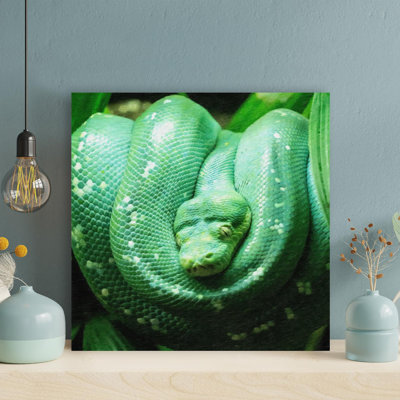 " Green Snake On Tree Branch 4 " Painting Print