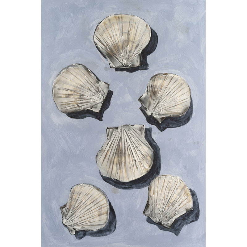 Tayan Embellished Seashells I by Michael Willett - Wrapped Canvas Print, 46 cm H x 30 cm W