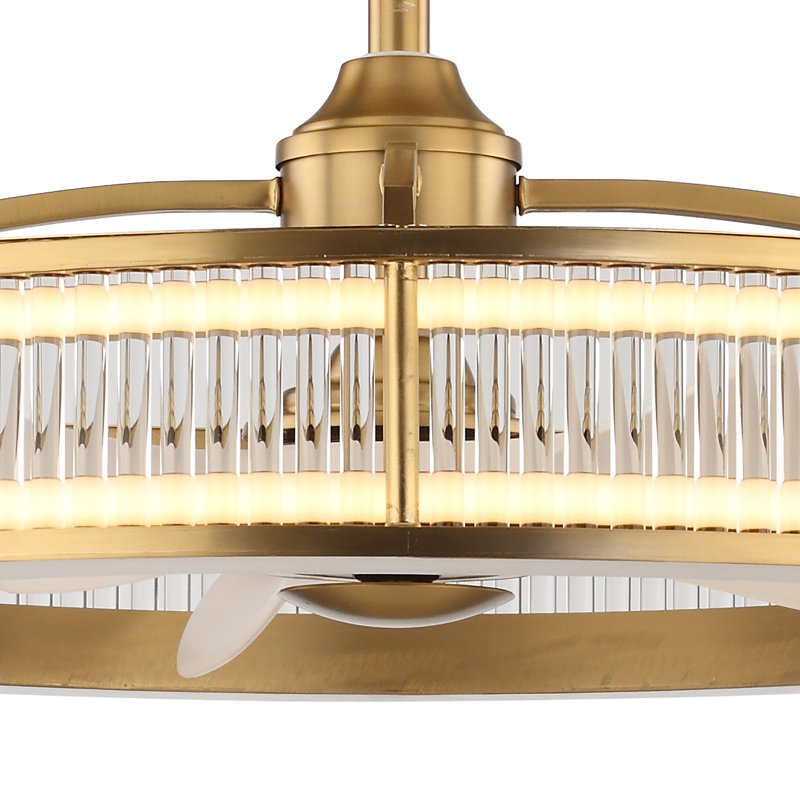 29.1" Caged Ceiling Fan with Dimmable LED Lights and Remote Control