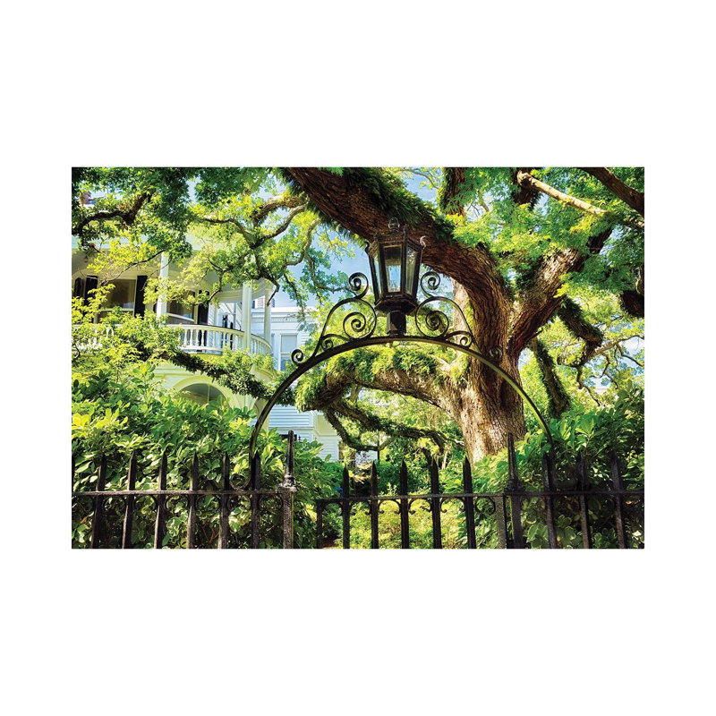 Giant Ivy Covered Oak Tree, Historic District, Charleston, South Carolina par George Oze - reproduction de photo sur toile tendue