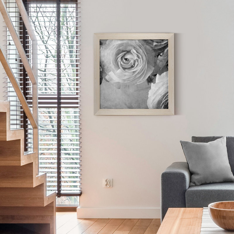 Renoncule foncé IV - cadre photo, H 31,5 po x l 31,5 po x P 1,5 po, Toile blanche encadrée, Pas de tapis