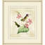 Brilliant Hummingbird Collection 4 Print