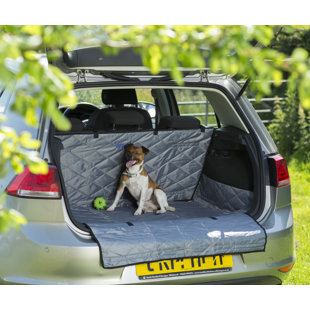 Collapsible Pet Carrier