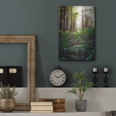 «Oregon Redwoods» par Rick Berk, art mural en métal