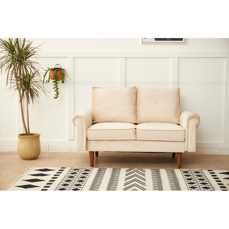 Modern Design Loveseat