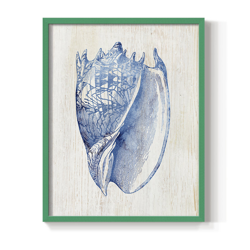 Shell II Framed Print - Solid Wood, Green